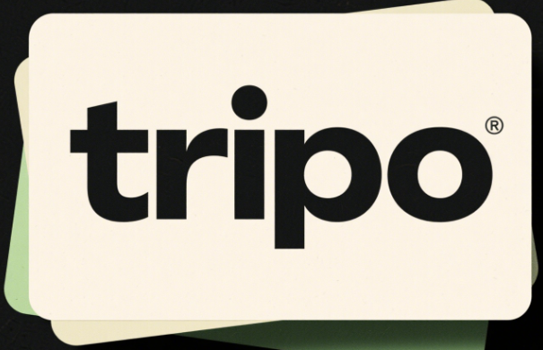tripo ai官网:3D建模领域专业应用工具